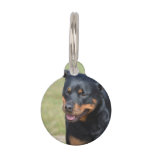 Guileless Rottweiler Pet Name Tag