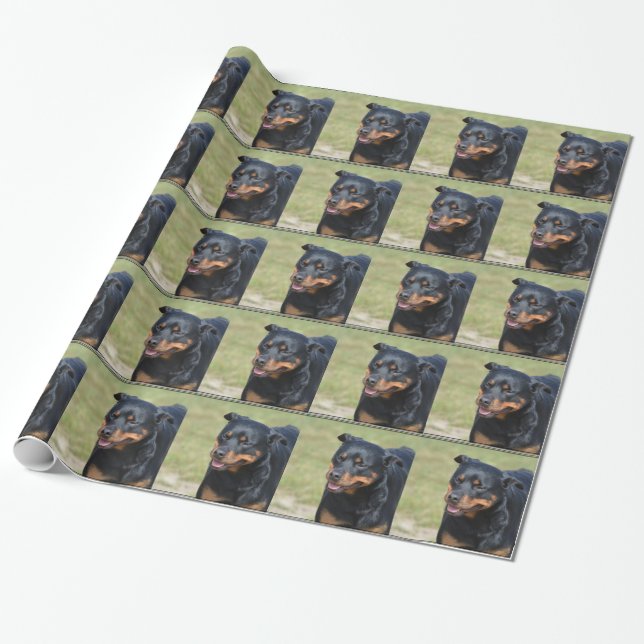 Guileless Rottweiler Wrapping Paper (Unrolled)