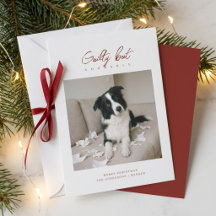 Guilty But Adorable Funny Dog Photo Christmas