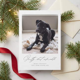 Guilty But Adorable | Funny Dog Photo Christmas Holiday Card