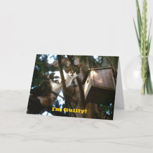 Guilty! Card