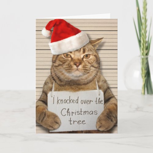 Guilty Cat in Santa hat Christmas Card