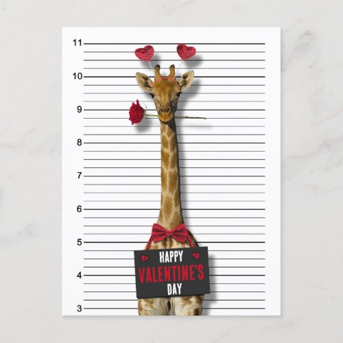 Guilty Giraffe Mugshot Funny Happy Valentines Day Holiday Postcard