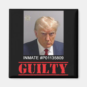 Guilty Magnet