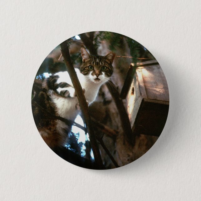 Guilty! Pinback Button (Front)