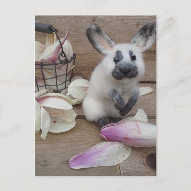 Guilty rabbit postcard (Front)