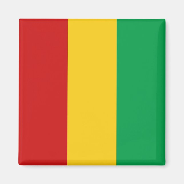 Guinea-Conakry Flag Magnet (Front)