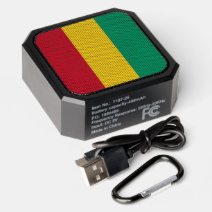 Guinea flag bluetooth speaker