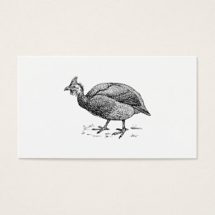 Guinea Fowl Bird Art
