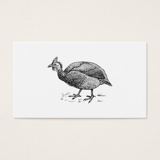 Guinea Fowl Bird Art (Front)