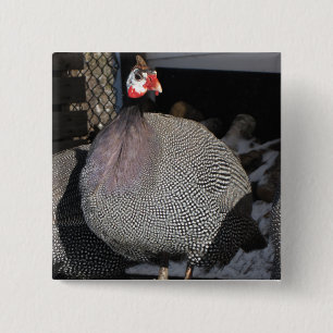 Guinea Fowl Button