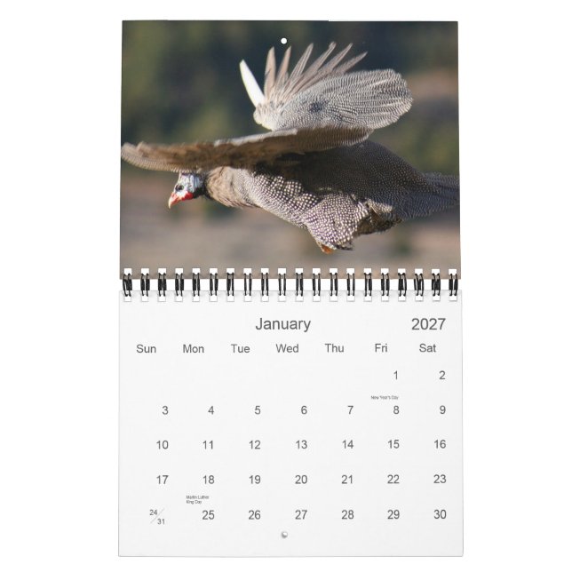 Guinea Fowl Calendar for 2012 (Jan 2027)