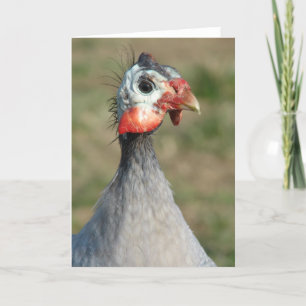 Guinea Fowl Card