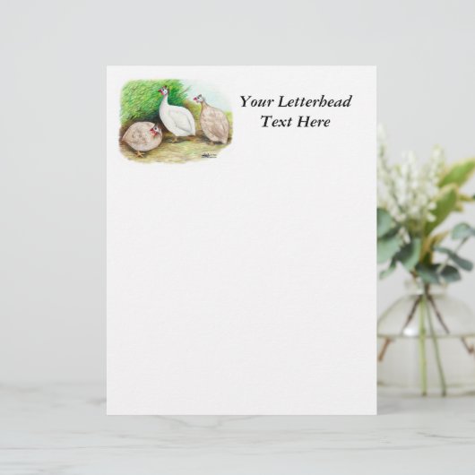 Guinea Fowl Outside (Standing Front)