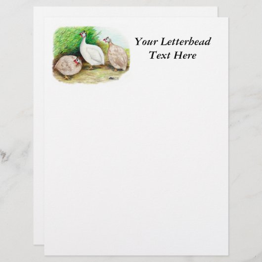 Guinea Fowl Outside (Front/Back)