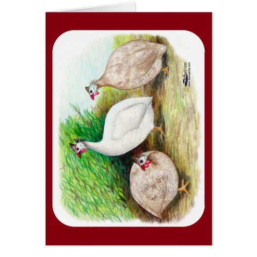 Guinea Fowl Outside Cards (Front)