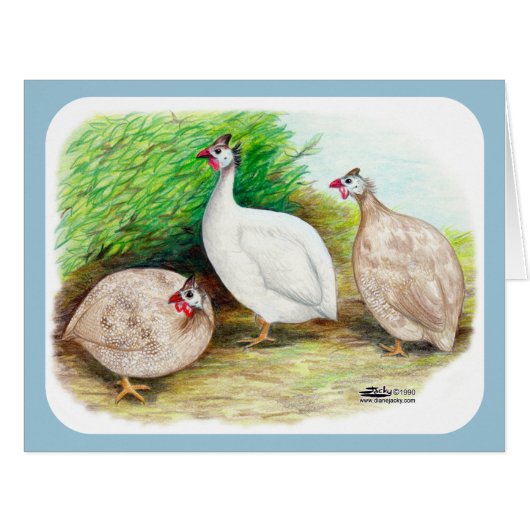 Guinea Fowl Outside Cards (Front Horizontal)