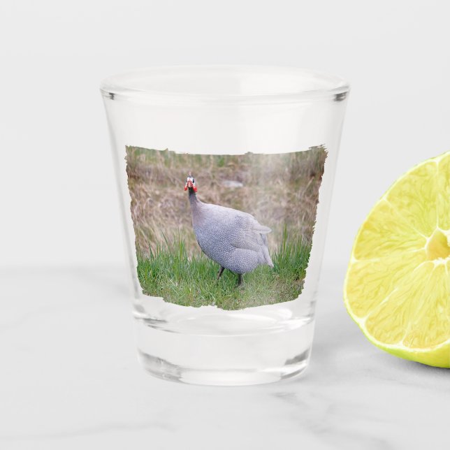 Guinea Fowl Shot Glass (Front)