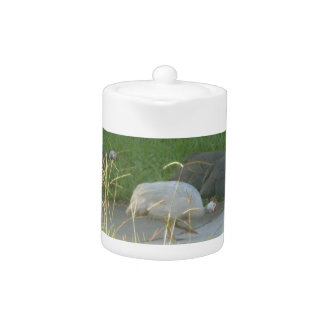 Guinea Fowl Teapot