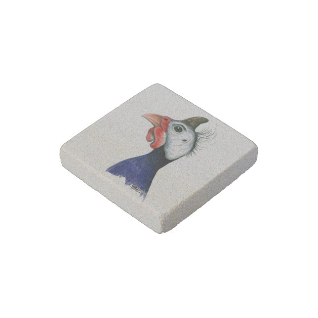 Guinea Head Stone Magnet (Angled)