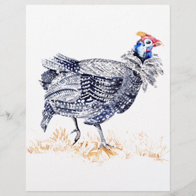 Guinea hen flyer (Front)