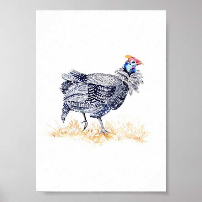 Guinea hen poster (Front)