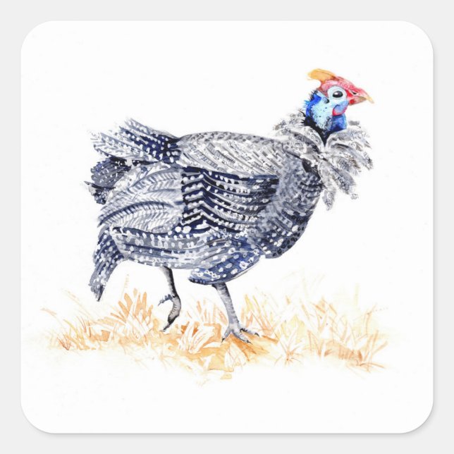 Guinea hen square sticker (Front)