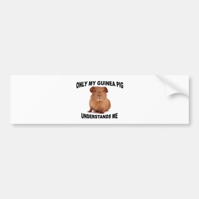 GUINEA.jpg Bumper Sticker (Front)