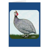 Guinea Lavender On Watch (Front)