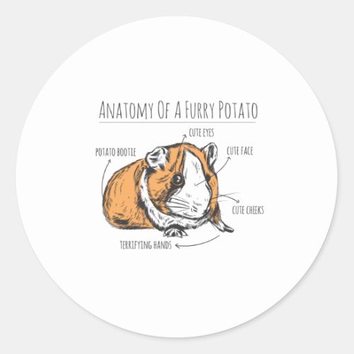 Guinea pig anatomy classic round sticker