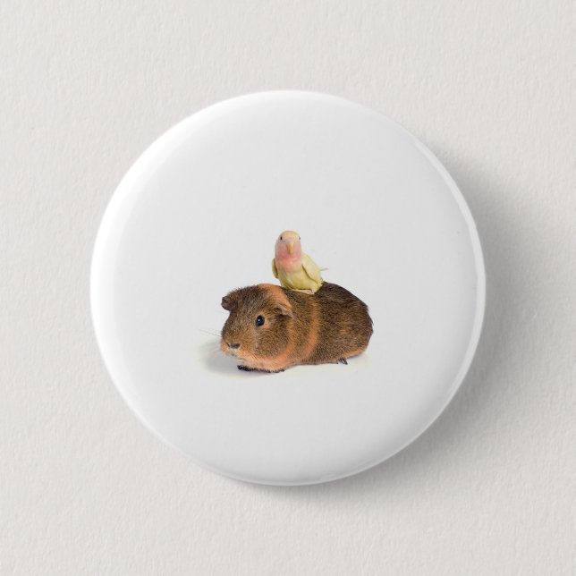 guinea pig and yellow bird pinback button (Front)
