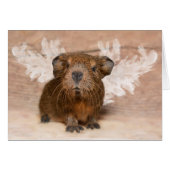 Guinea Pig Angel (Front Horizontal)