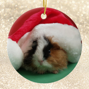 Guinea Pig Animal Christmas Ornament by ornamentsbyhenis at Zazzle