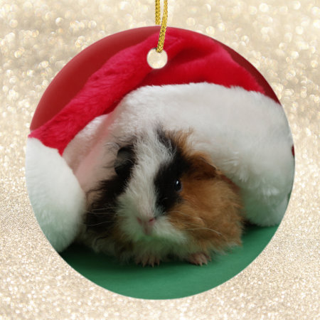 Guinea Pig Animal Christmas Ornament
