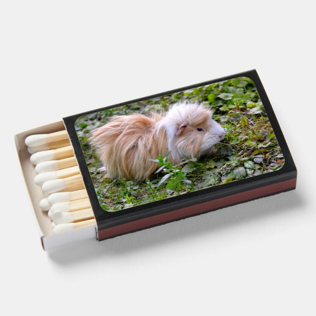 Guinea pig animal on grass matchboxes (Front Open)