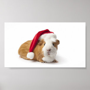 Guinea Pig Art Poster