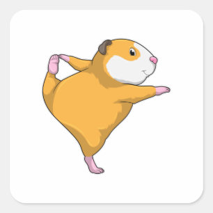 Guinea pig at Yoga Stretching exercise Square Sticker