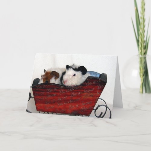 Guinea Pig Babies in a Red Sleigh Card