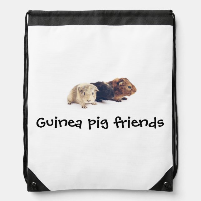Guinea Pig Backpack (Front)