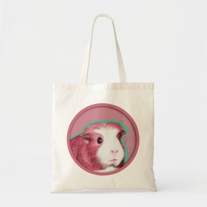 guinea pig bag
