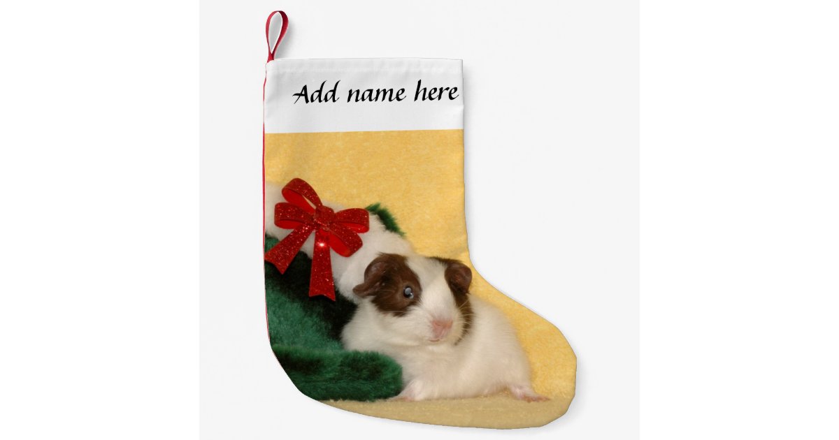 Guinea Pig bow Christmas Stocking Zazzle