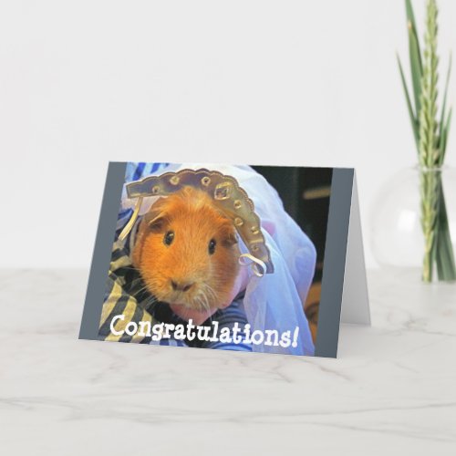 guinea pig bride card