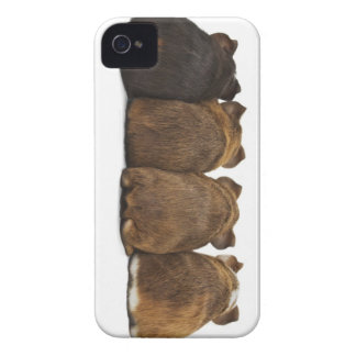 Guinea Pig Butts Iphone4 case