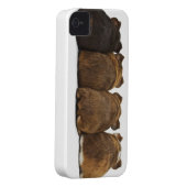 Guinea Pig Butts Iphone4 case (Back/Right)
