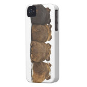 Guinea Pig Butts Iphone4 case (Back Left)