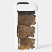 Guinea Pig Butts Iphone4 case (Back)