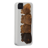 Guinea Pig Butts Iphone4 case (Back/Right)