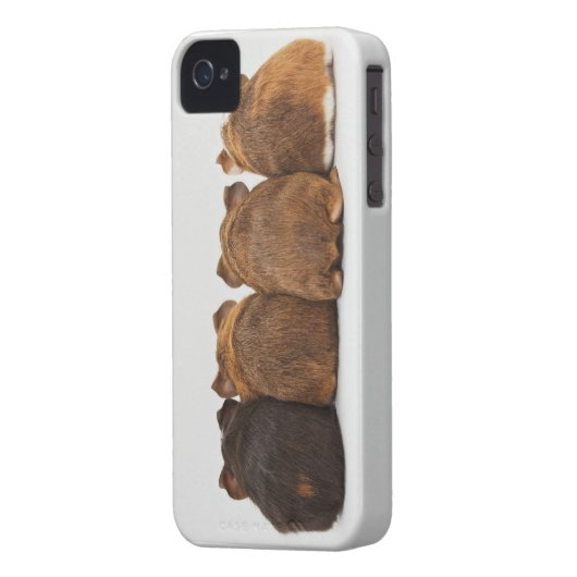 Guinea Pig Butts Iphone4 case (Back Left)