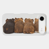 Guinea Pig Butts Iphone4 case (Back (Horizontal))