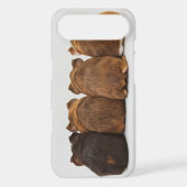 Guinea Pig Butts Iphone4 case (Back)